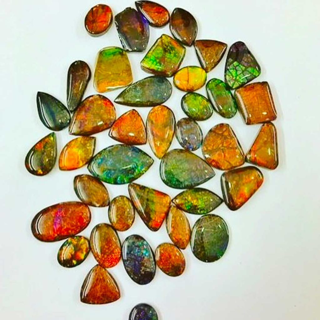 Ammolite stone