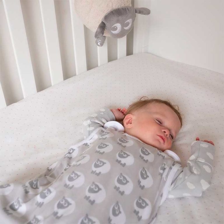 Why Purchase a Baby Sleeping Bag