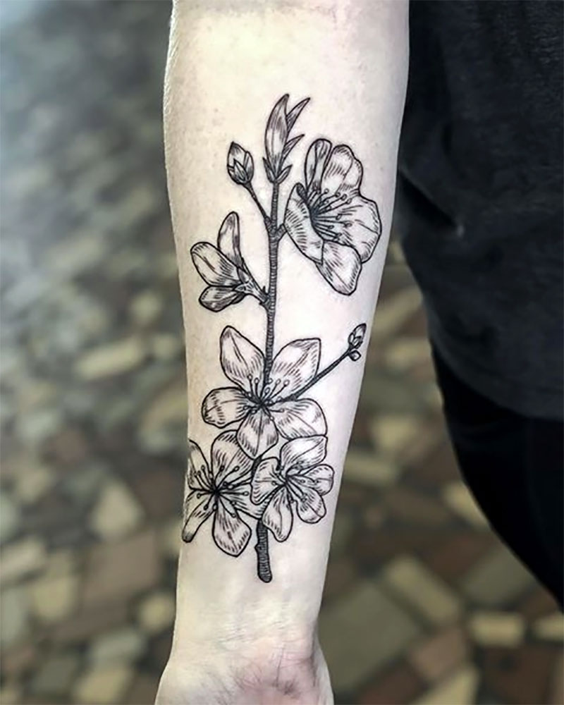 Cherry Blossom Tattoo Designs