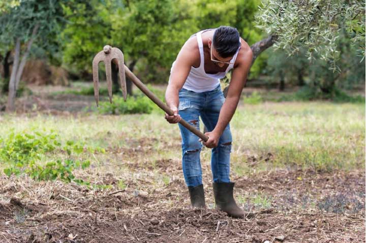 Create the Perfect Farmer Chic Look Today