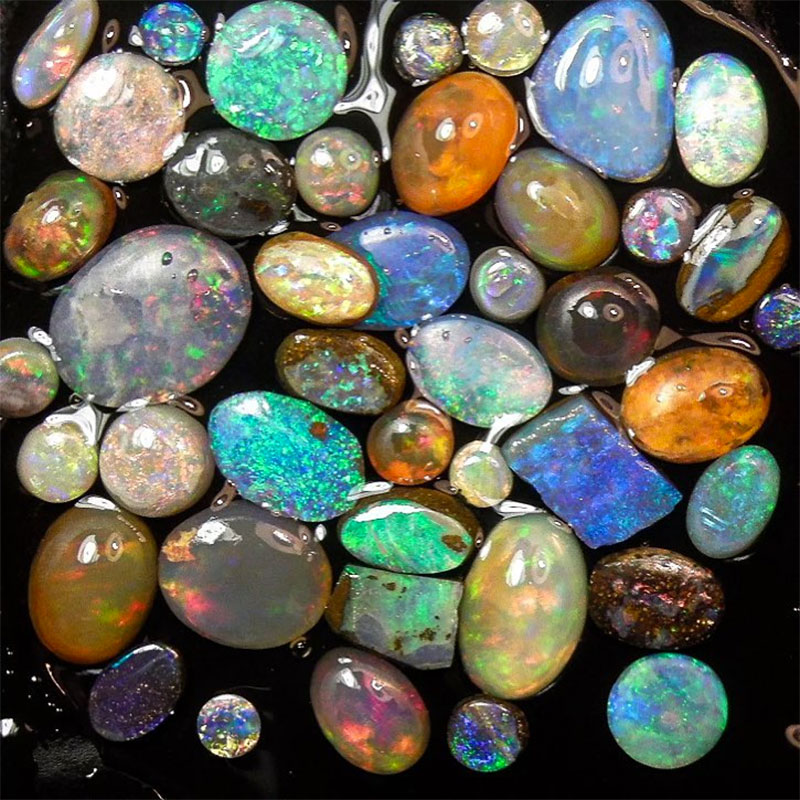 Instagram Accounts for Opal Lovers