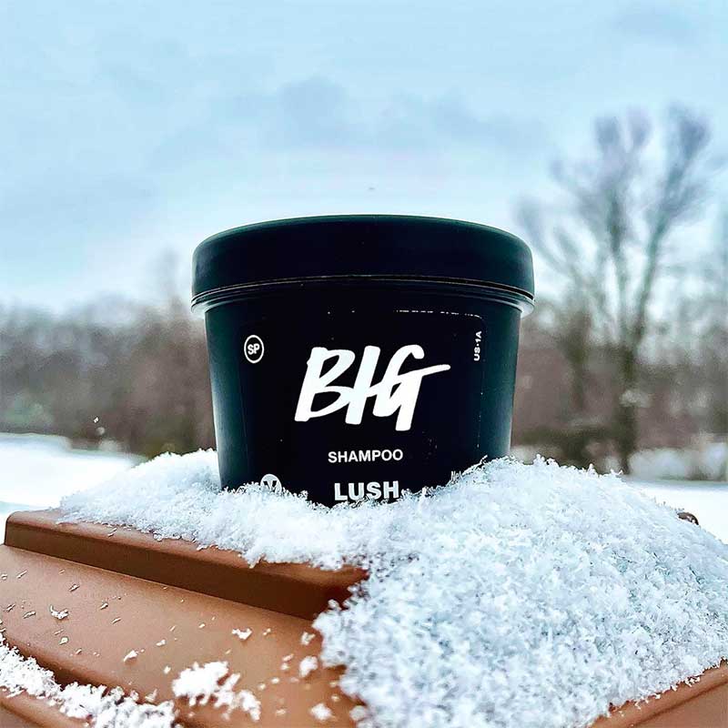 Lush Big Shampoo Review