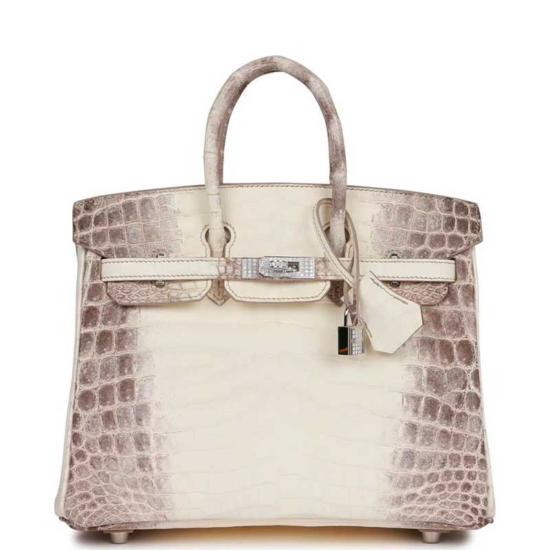 Niloticus Crocodile Himalaya Birkin