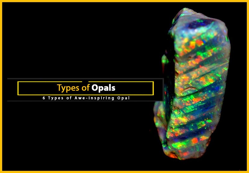 Black Opal