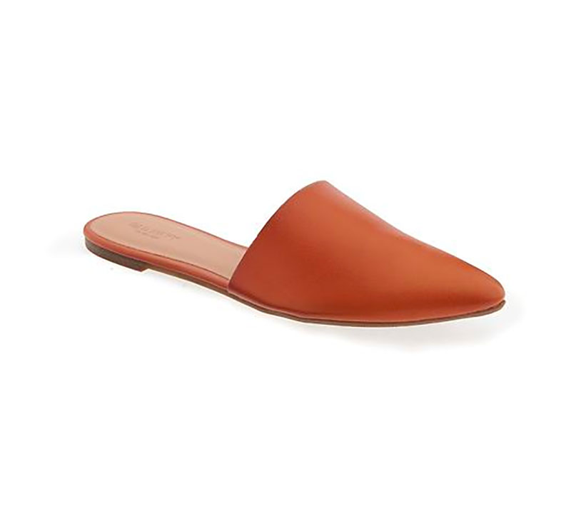 Pointed Flat Fashion Mule