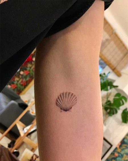 Seashell Tattoo Ideas