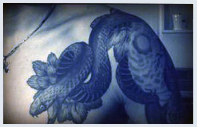 Snakes Tattoo Designs for men