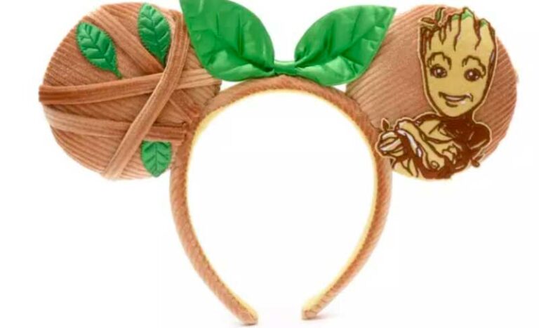 Where To Find The Best Disneyland Headband