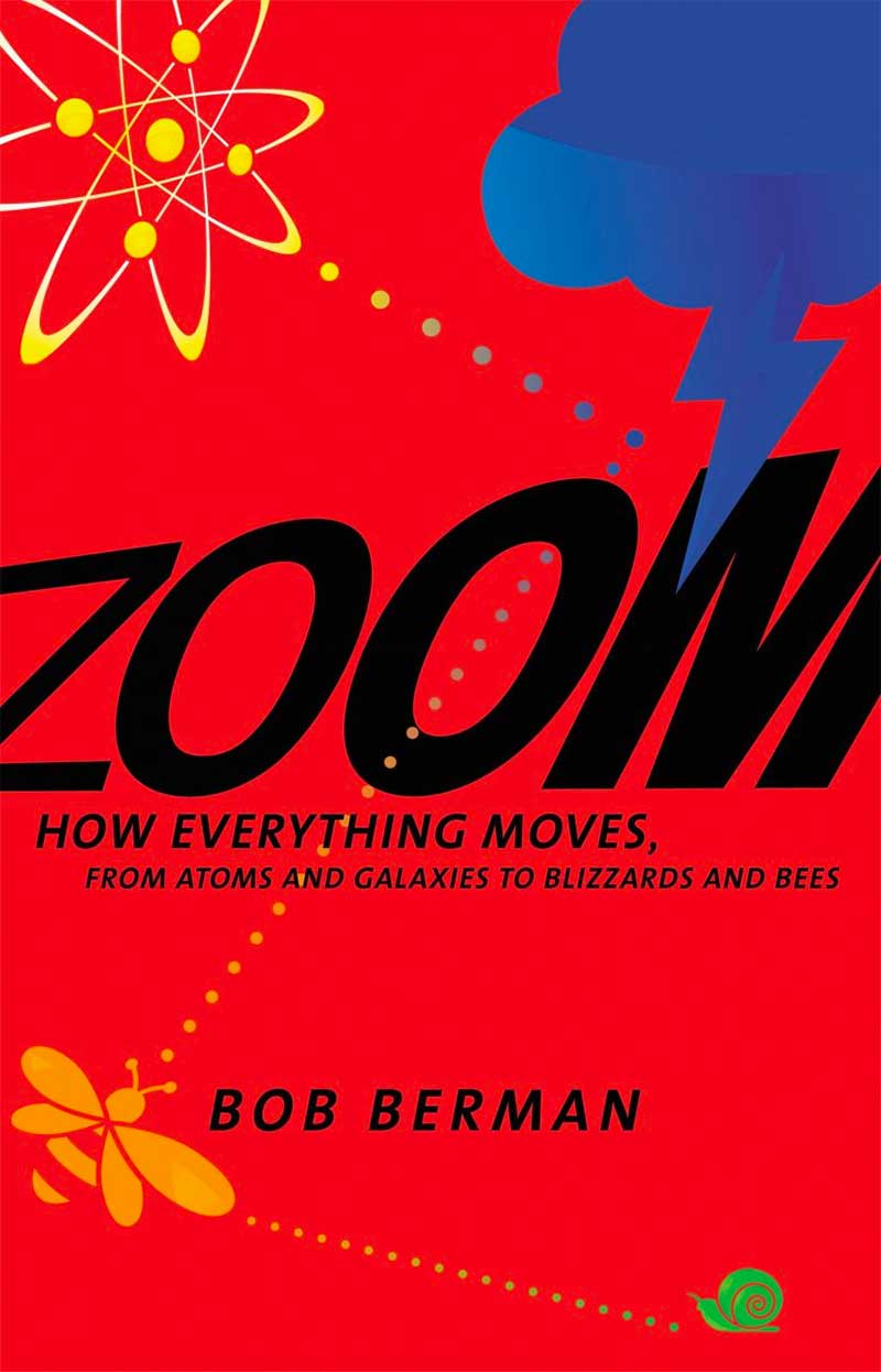 Zoom: How Everything Moves